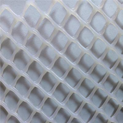白色加厚1米宽塑胶网 2.5cm孔塑料平网 养殖脚垫漏粪网