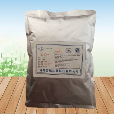 厂家供应食品级蓝莓粉 增味剂 蓝莓粉