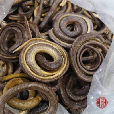 野生脆蛇的功效 脆蛇多少钱一斤