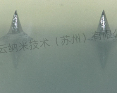 Ϻп΢۸ о׼Ӧ