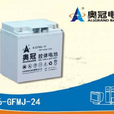 奥冠蓄电池6-GFMJ-24 12V24AH 风能 太阳能储能电池 UPS后备不间断电源