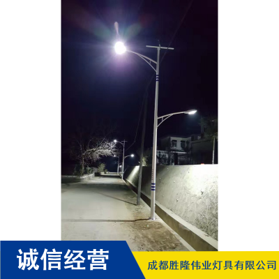 四川成都6m高LED仿古太阳能路灯_胜隆伟业新农村太阳能路灯市场价格