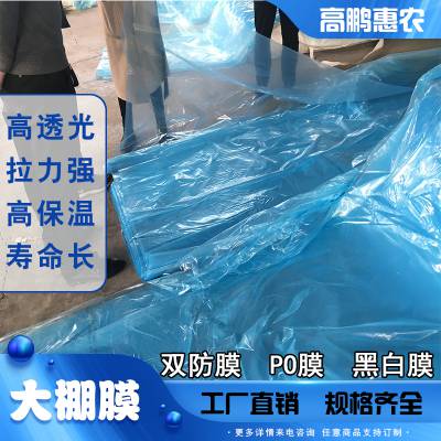 泰安大棚双防膜_大棚无滴膜厂家_承接大棚建设包工包料