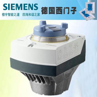 SAL81.00T10 ӵִ װָ
