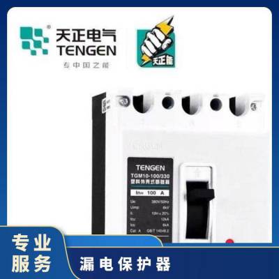 DZ15LE-40 100/3N901 AAܿ©籣·