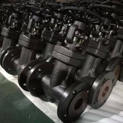 Z41Y-150LB/600LB/900LB/1500LB ͸բ ͸բ բ