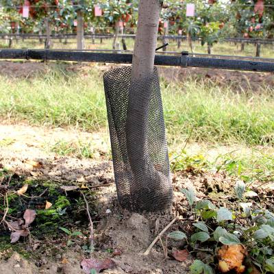 防兔网 护树网 保护树根 防止被啃食 多功能护树网