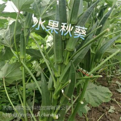 رƼ----½ϸˮ