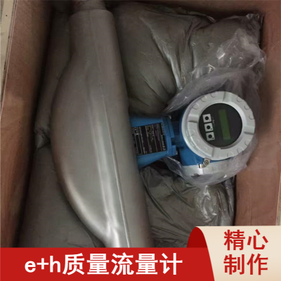 E+H83E80 ṹչҵԶǱE+H  80F08