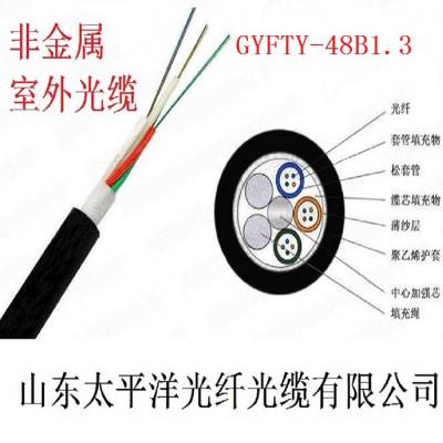 供应太平洋光缆 GYFTY 48芯单模光纤 室外非金属光缆 通信光缆
