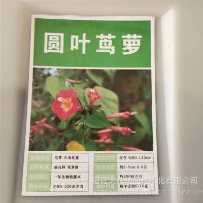 优质新采摘草花种子 羽叶茑萝种子 发芽*** 价格便宜 ***