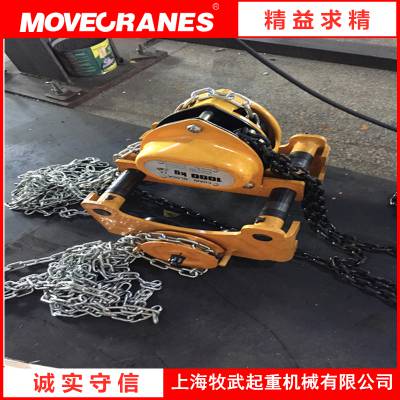 上海浦东工地吊装用20吨手拉葫芦