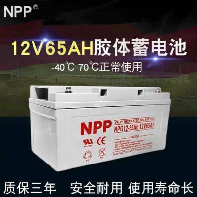 NPPNPG12-65AH 12V65AH 100AH 120AH 150AH 200AH UPS