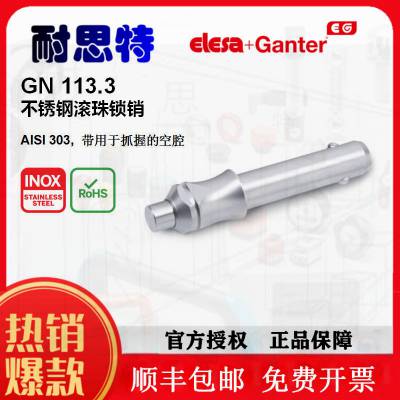 ӦGN113.3GN113ƷELESA+GANTER