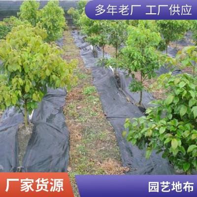 定制加工打孔黑色pp材质果园防草布 大棚保湿除草布