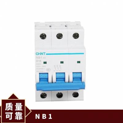 正泰小型断路器 NB1-63/2P C型 16A 微型空气开关 分段能力 6kA