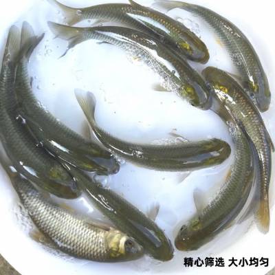 2021綩-۹--ˮ