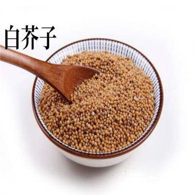 中药材白芥子的药用价值辣白芥子菜子批发