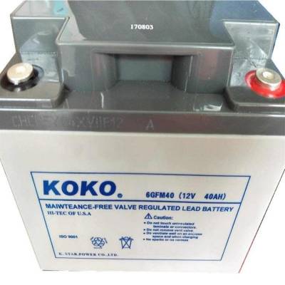 KOKO蓄电池6GFM50 12V50AH直流屏 低压配电 UPS/EPS配套