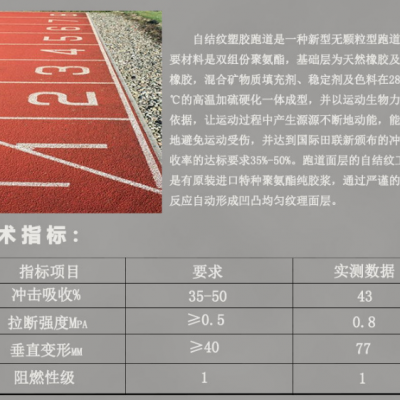 陕西金格学校操场新国标13mm全塑型自结纹塑胶跑道透气耐磨