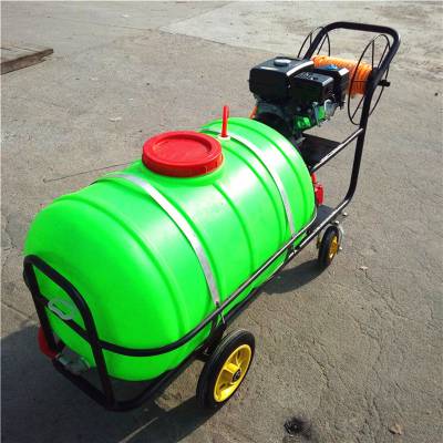 手推式轻便打药机 瓜果蔬菜杀虫喷雾器 园林植保机械养殖消毒机