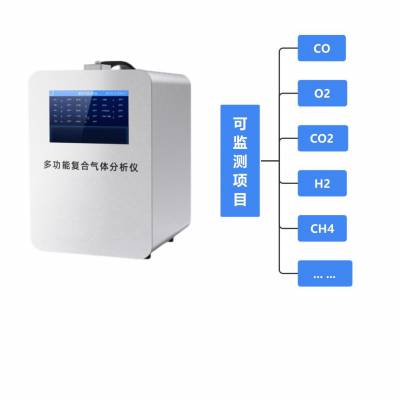 便携式气体分析仪 尾气烟气检测 移动方便 数据存储