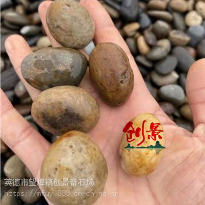 变压器5-8公分鹅卵石，水处里鹅卵石河卵石滤料，南沙区雨花石供应商家