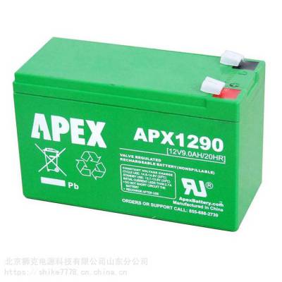 APEX APX12-200 12V200AHͣӦϵ