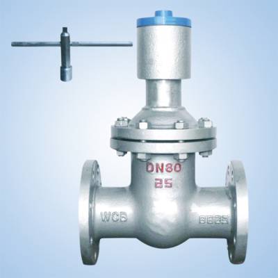 FDZ45H DN25 բ ŷբ բ բ բ