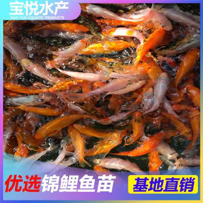 ֽ緱ֳ