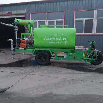 丽江 工地街道市政小型雾炮机 张掖 新能源电四轮洒水车