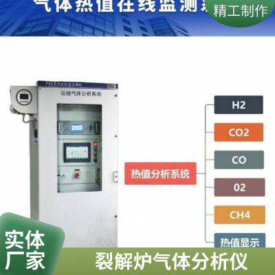 正压防爆机柜防爆型抽取式气体分析仪WX-3000Ex 连续输出监测数据