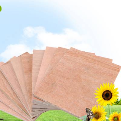 ˳δ  ŻݳҹӦֱ ֻ