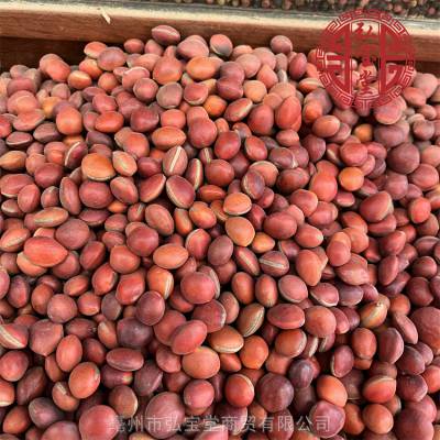 弘宝堂大红豆籽图片籽类大全野生大红色豆子价格