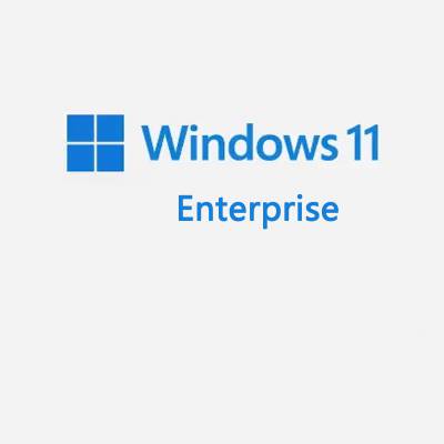 微软正版原厂 Windows 11 企业版 win操作系统 - 北京微软经销商