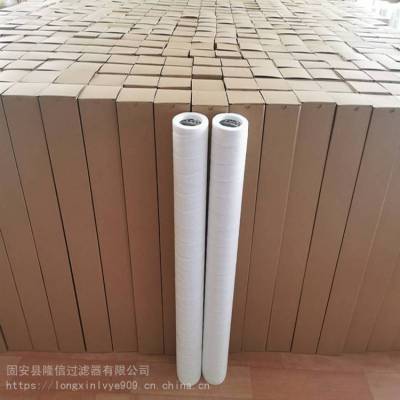 天然气滤芯 天然气聚结滤芯 PCHG-536聚结分离滤芯 隆信机械