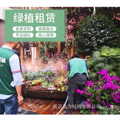 植物租赁/园林设计与施工/武汉公司绿植租摆养护/绿丛园林
