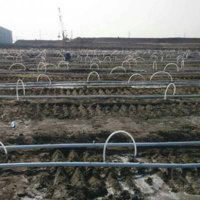 山东工程降水设备工程施工泵轻型井点降水