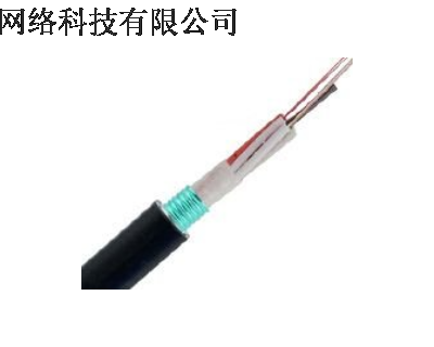 48芯光缆施工报价 服务为先 广州通鹏网络科技供应