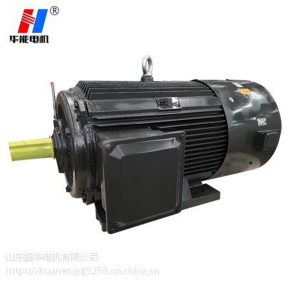 变频隔爆 三相异步电动机YBVP-315S 110KW 2极卧式/立式 防爆电机工厂直供