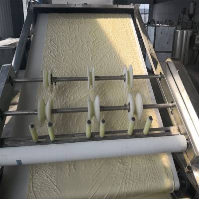 腐竹生产线 商用腐竹油皮机设备 大型腐竹机厂家