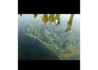 无锡高密度水产养殖 欢迎来电 宜兴市超众渔业机械供应