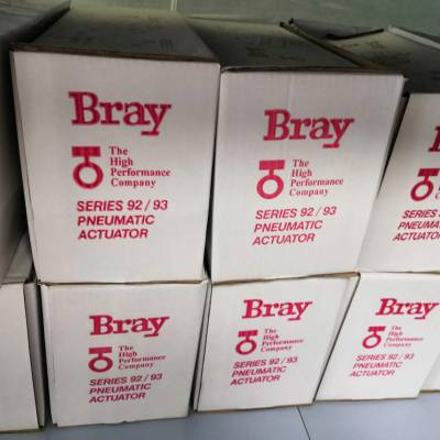 BRAYִ92-0630-11300-532 ˫