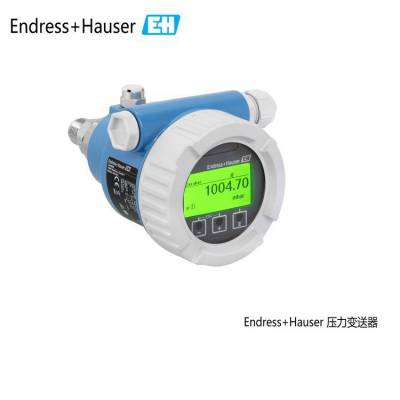 E+H温度变送器PMC51榔头型
