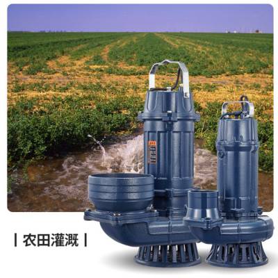 潜水排污泵污水泵大通道无堵塞污水提升泵耐腐蚀 无堵塞 灌溉