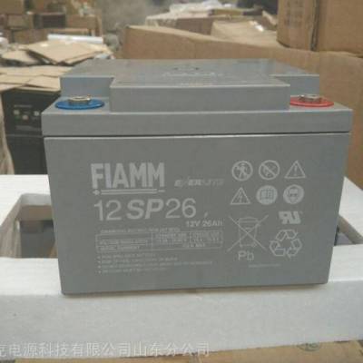 意大利(FIAMM)蓄电池12SP80 12V80AH风力发电