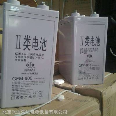 ˫GFM-800/2V800AH 