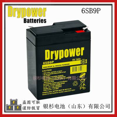 原装Drypower蓄电池6SB9P自动警报设备 测试设备用6V-9AH铅酸储能电池