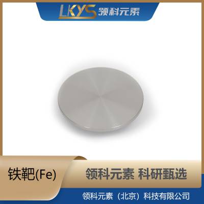 Fe 高纯铁靶 99.95%纯铁靶材科研专用φ25.4×5mm