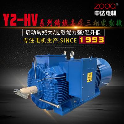 Y2系列高压三相异步电动机Y2-HV 355-2-160KW 6KV中达电机ZODA